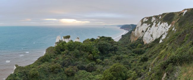 branscombe__2_b.jpg