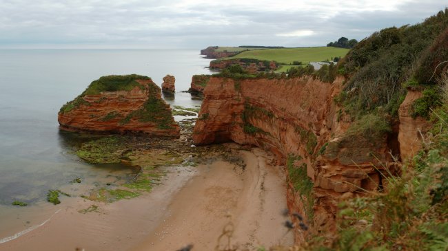 ladrambay_b.jpg