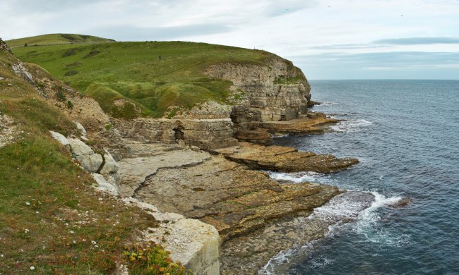 purbeck_b.jpg